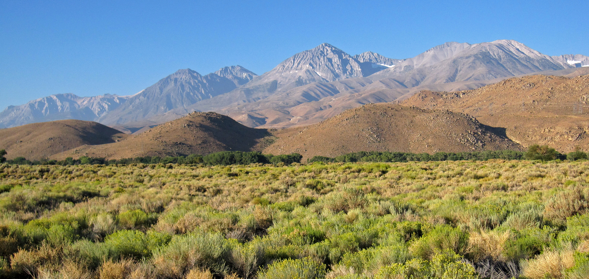 from the Owens Valley, near Big Pine, California