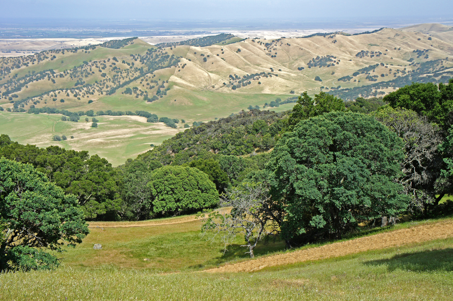 Morgan Territory, north of Livermore, California