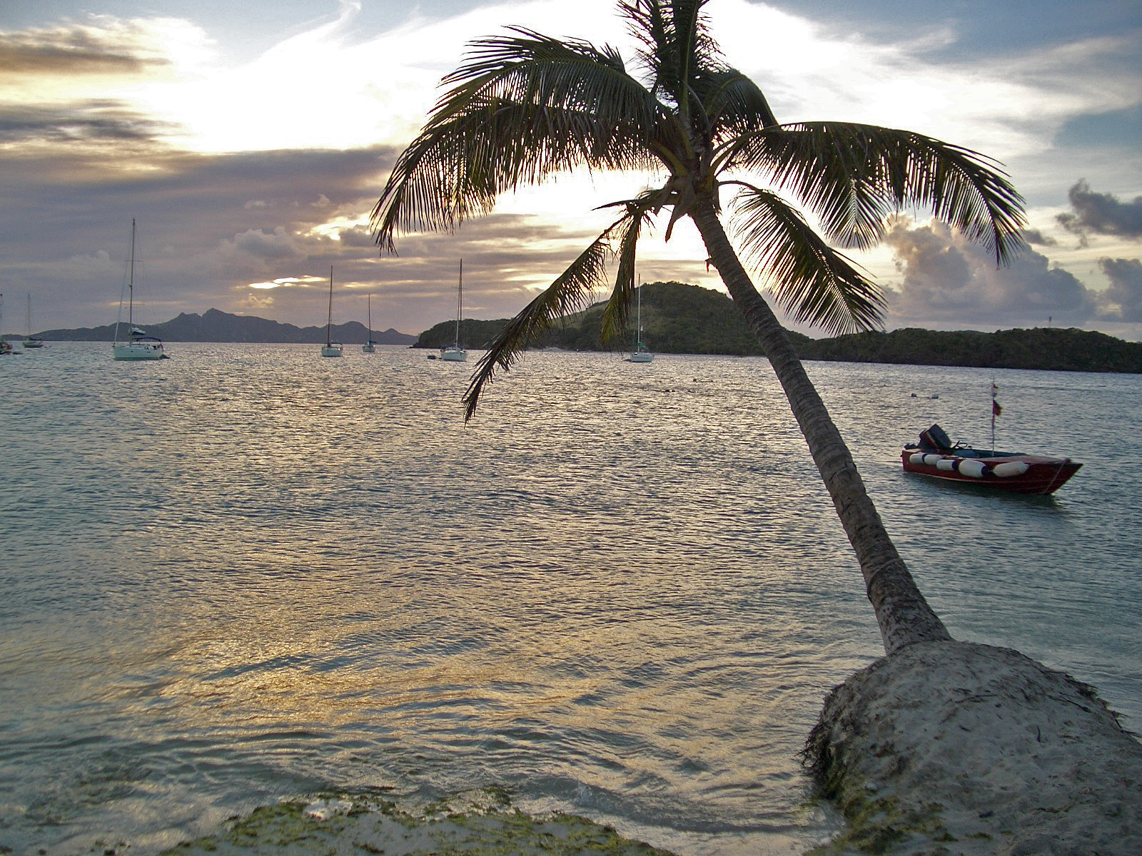 sailing through the Grenadines