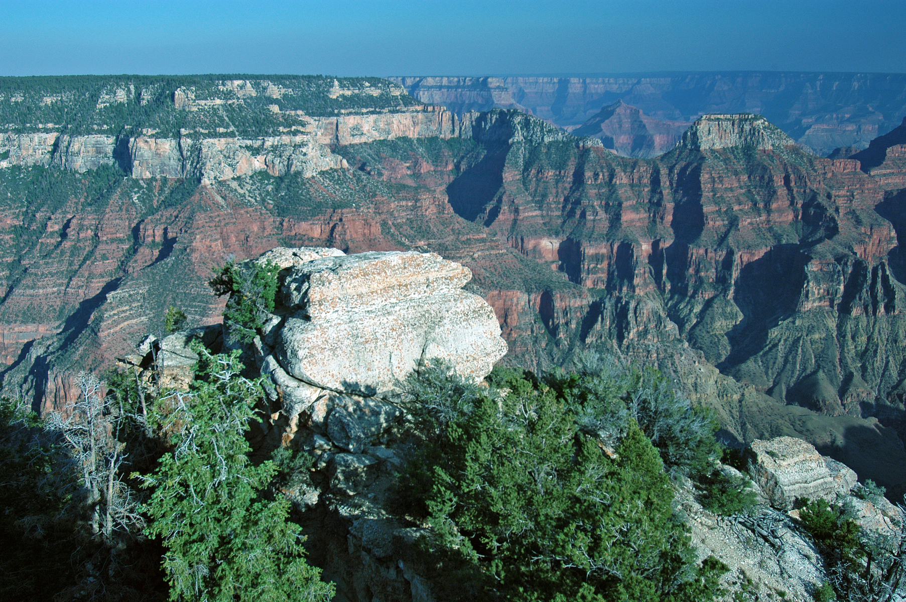 looking out over the Grand Canyon from the North Rim
