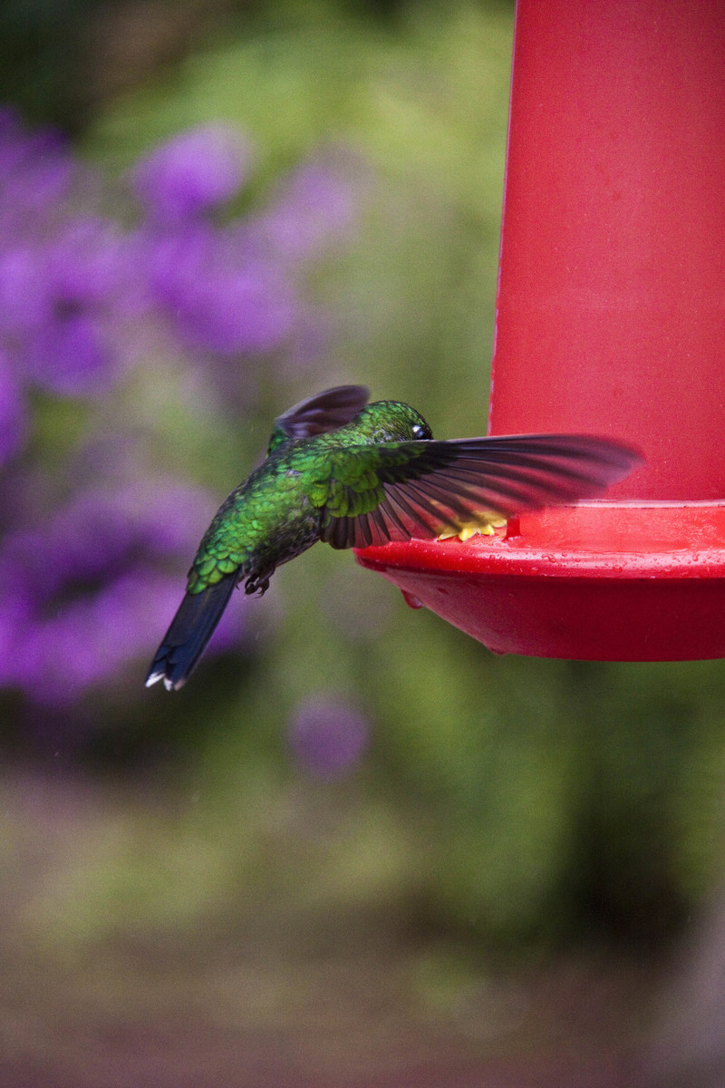 Costa Rica